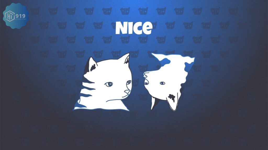 Cats & Dogs là gì? Làm sao để tham gia airdrop của dự án