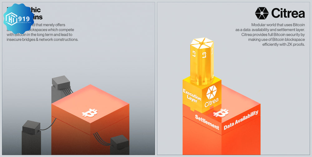 Top 3 Dự Án Crypto 202411033