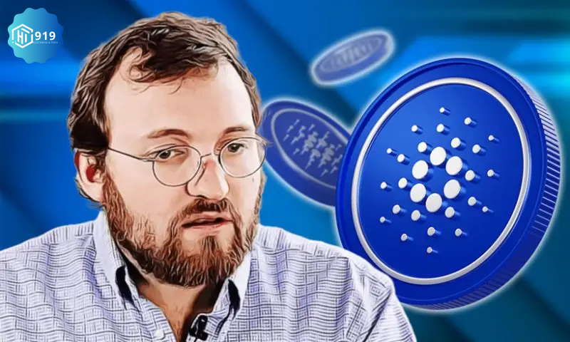 Cardano 202411112k