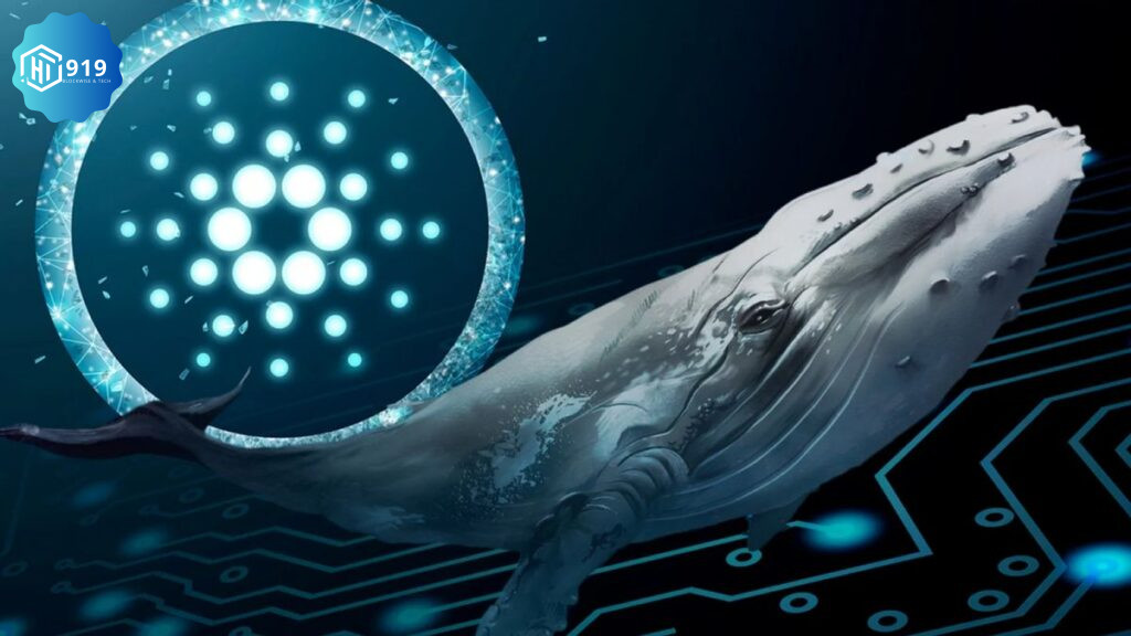 Cardano 202421111k