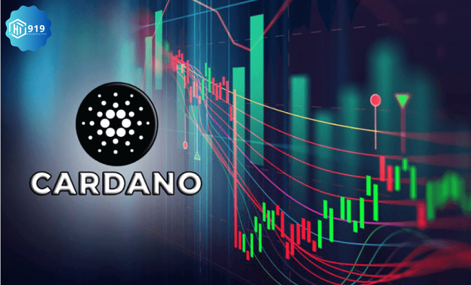 Cardano 202421112k