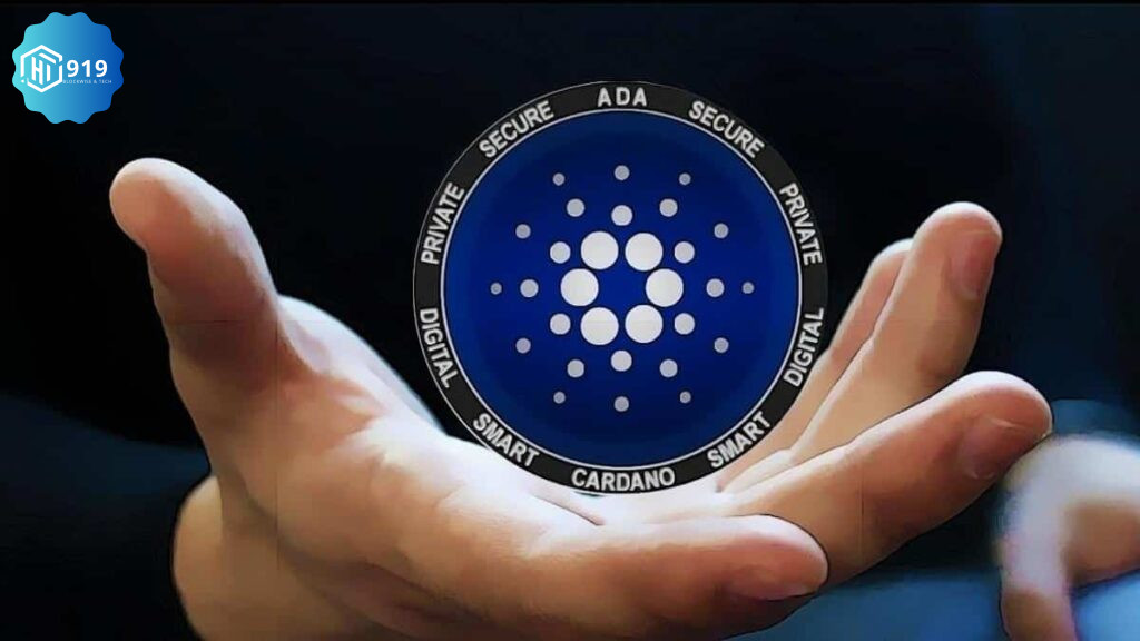 Cardano 202421113k