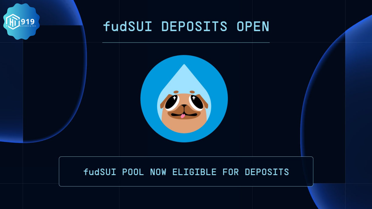 FudSUI 202426114