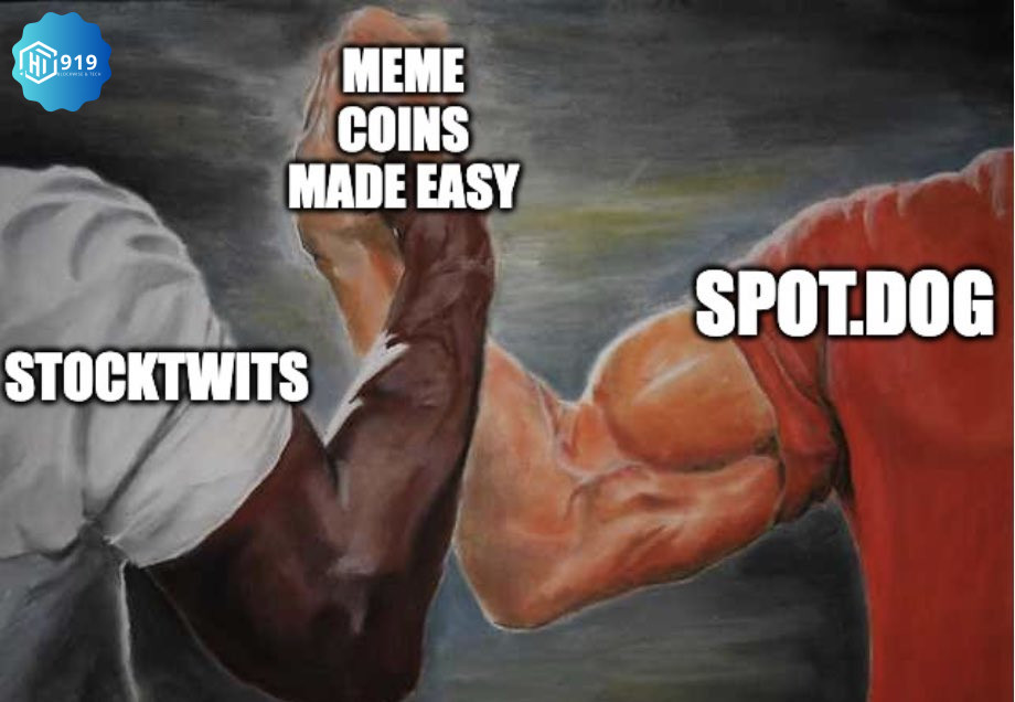 Meme Coin 2024281110k