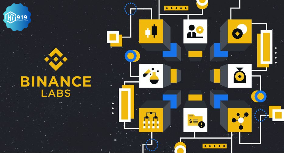 Binance Labs 202429118K