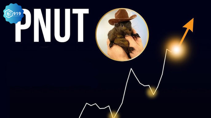 Pnut 202412121