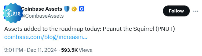 Pnut 202412123