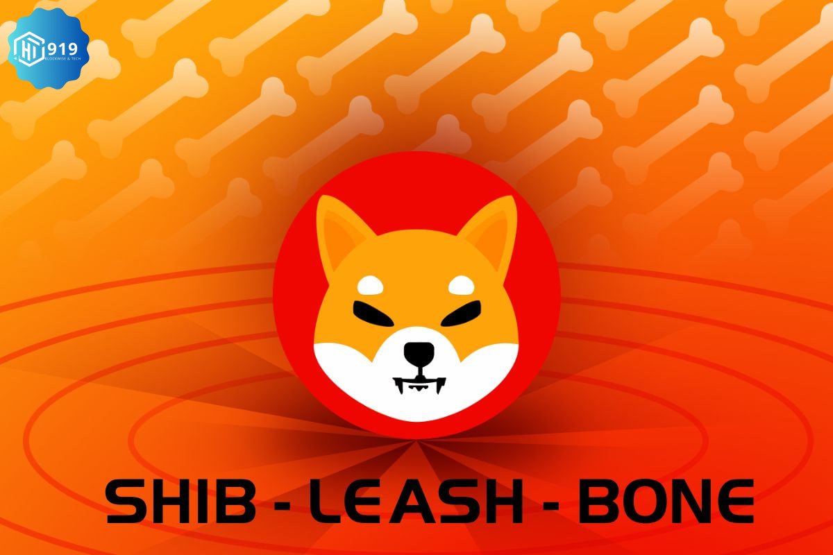 Shiba Inu 202404012