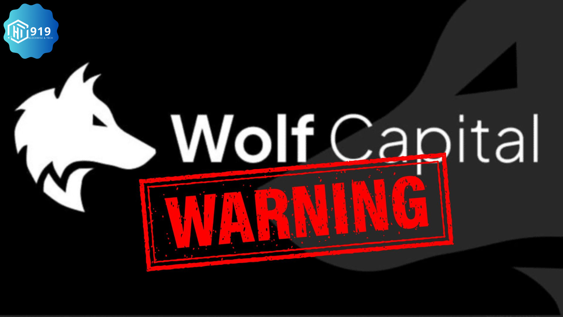 Wolf Capital 202513010x (1)