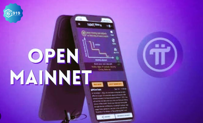 Pi Network 202517020