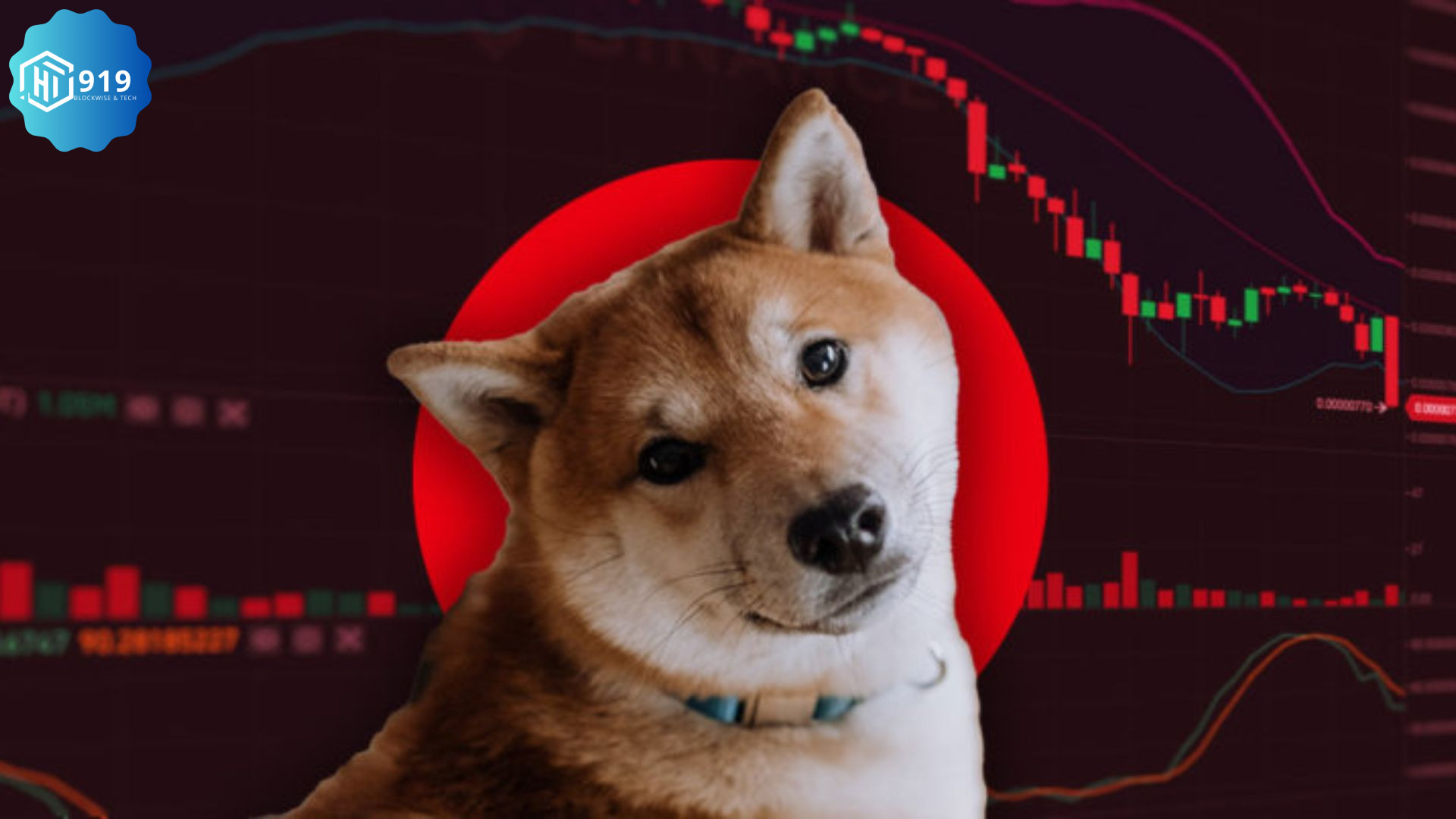 Shiba Inu202524020x (1)