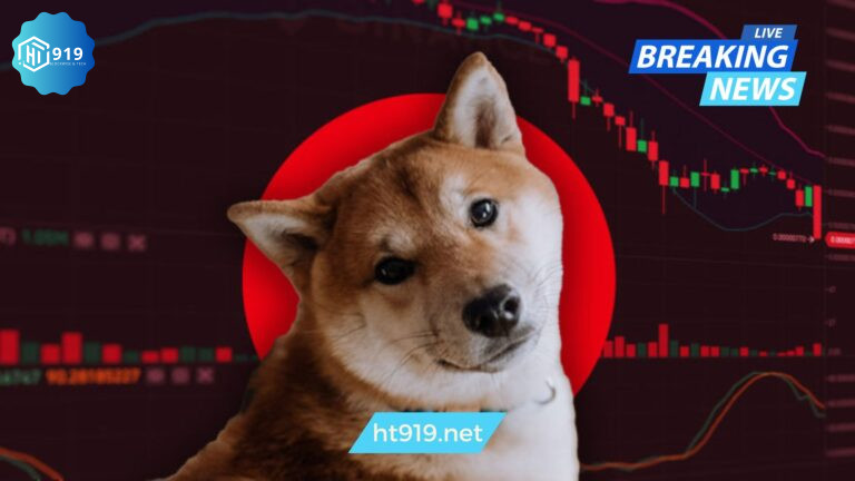 Shiba Inu202524020x